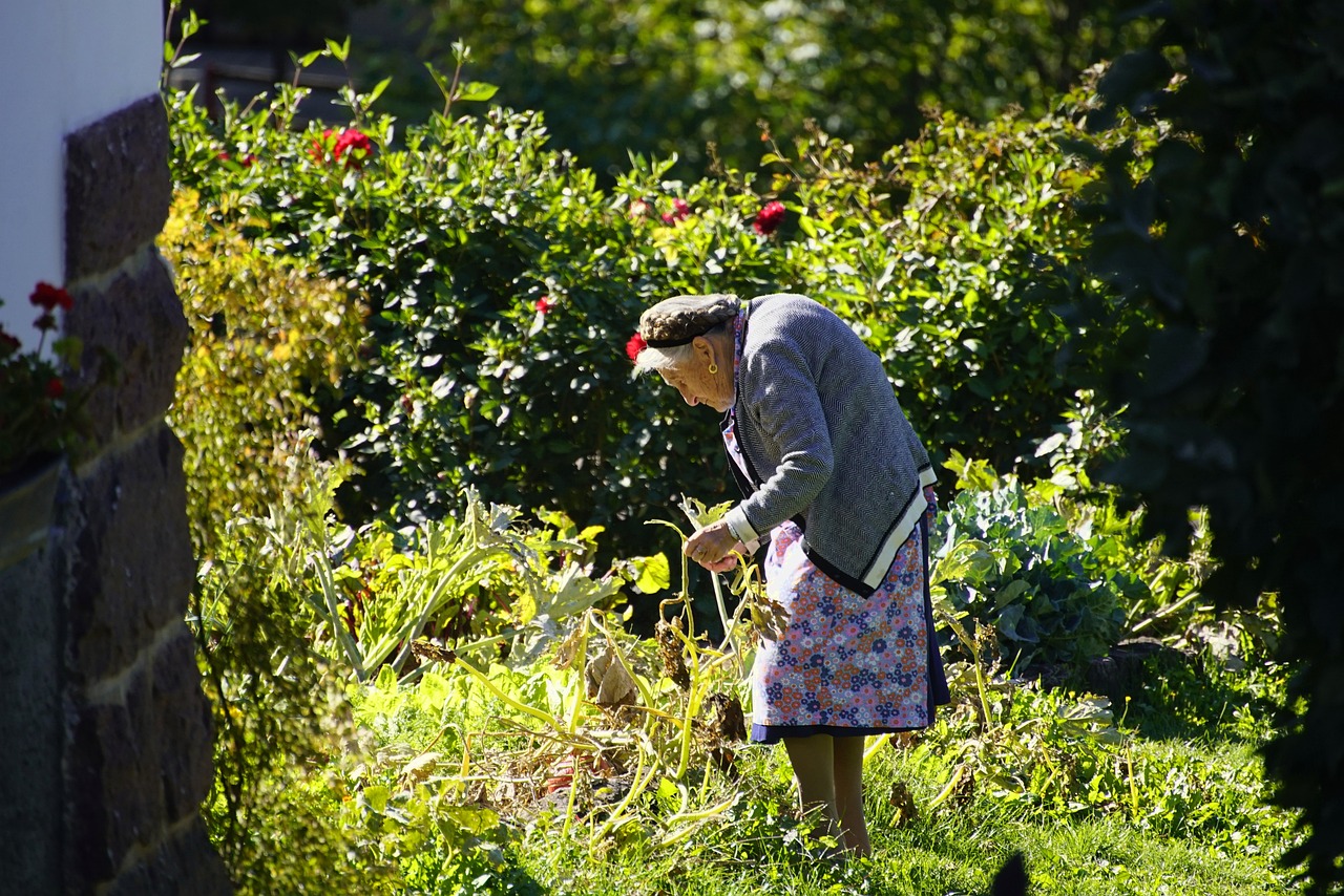 A Guide for Eco-Friendly Pest Control in Gardens